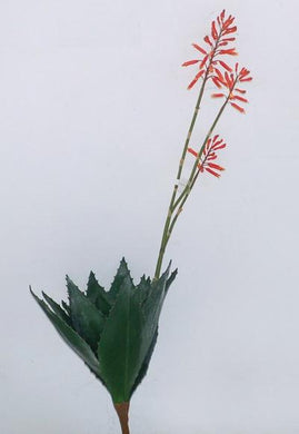 Artifical Aloe - flowering orange