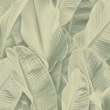 Load image into Gallery viewer, Wallpaper : Palm Court