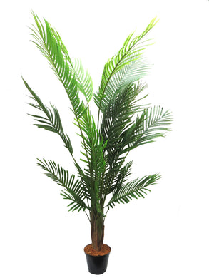 Areca Palm Tree - 120cm